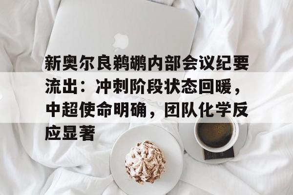 亚博体育app官网-新奥尔良鹈鹕内部会议纪要流出：冲刺阶段状态回暖，中超使命明确，团队化学反应显著